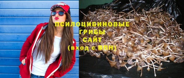 метадон Михайловск