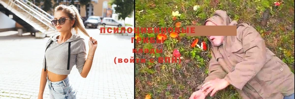 кокаин премиум Михайлов