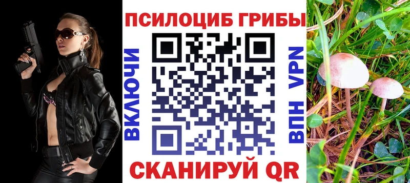 Галлюциногенные грибы Psilocybe цены наркотик Тотьма